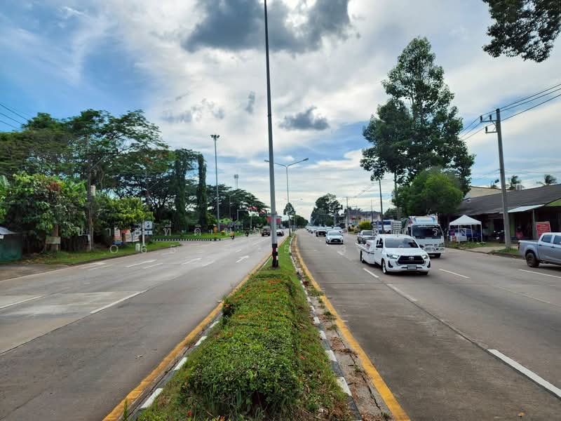 ขาย - ที่ดินอำเภอนาโยง จังหวัดตรัง, ตรัง