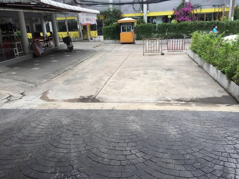 Shop House for Sale In Phra Khanong Sukhuvit Soi 48, Bangkok, Bang Chak, Phra Khanong, Bangkok, 9 Bedrooms, 540 sqm, Townhouse For Sale, by Sagar Shukla, 500185115 - DDproperty.com