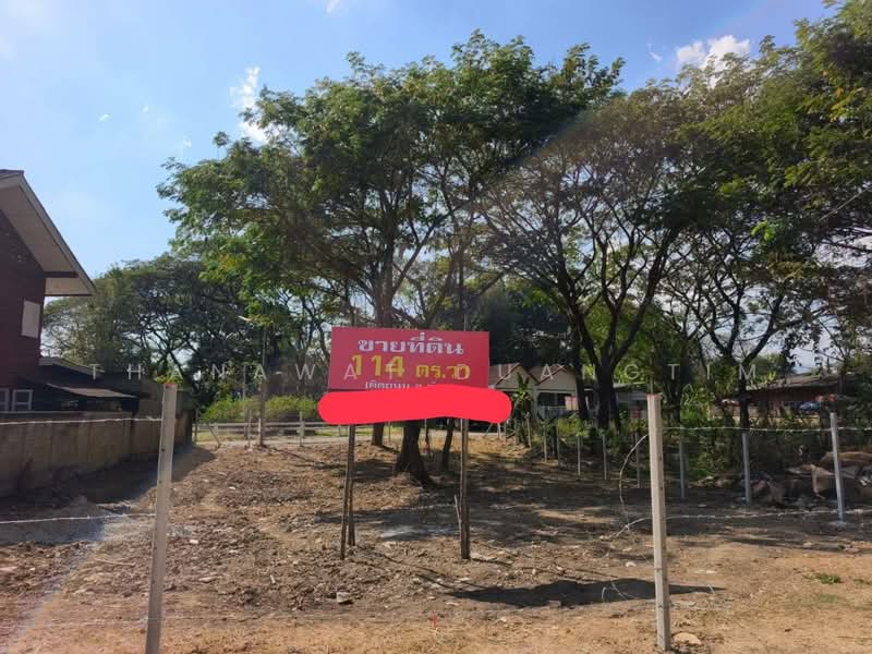For Sale - Vacant Land for Sale in Chiang Mai (Tha Sa La) – 114 Sq.Wah, Chiang Mai