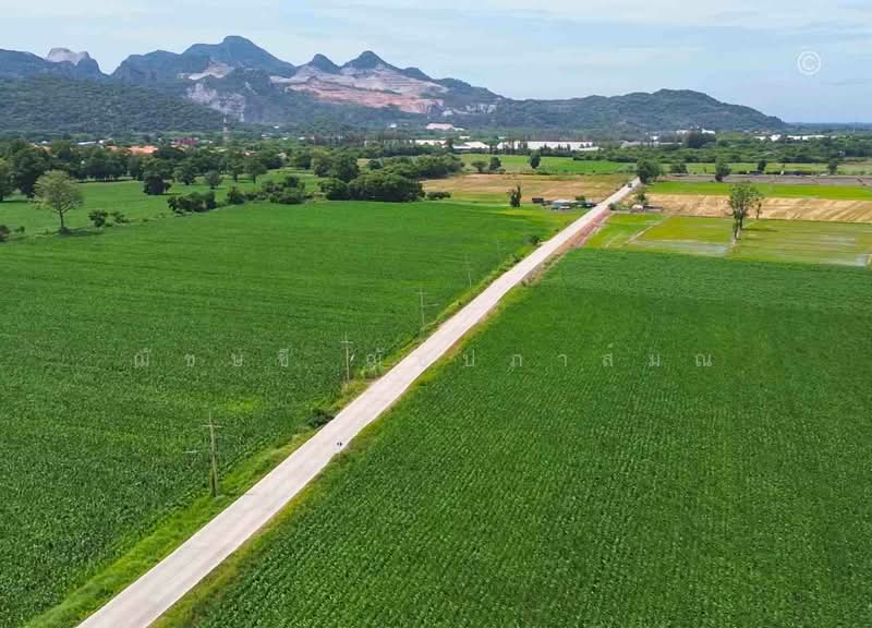 ขาย - ขายที่ดินแปลงใหญ่ ใกล้วัดพระพุทธบาท 42 ไร่ 2 งาน 91.3 ตรว. อ.พระพุทธบาท จ.สระบุรี, สระบุรี