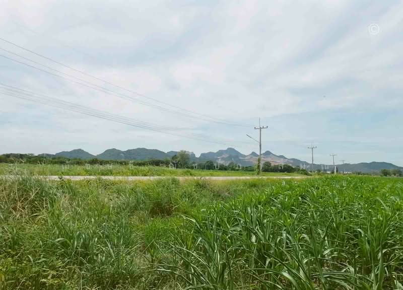 ขาย - ขายที่ดินแปลงใหญ่ ใกล้วัดพระพุทธบาท 42 ไร่ 2 งาน 91.3 ตรว. อ.พระพุทธบาท จ.สระบุรี, สระบุรี