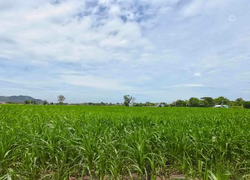 ขายที่ดินแปลงใหญ่ ใกล้วัดพระพุทธบาท 42 ไร่ 2 งาน 91.3 ตรว. อ.พระพุทธบาท จ.สระบุรี, Saraburi, พหลโยธิน, Khun Klone, Phra Phutthabat, Saraburi, , 68,364 sqm, Land For Sale, by ฌัชษชี ฌัชปภาส์มณ, 500185167 - DDproperty.com