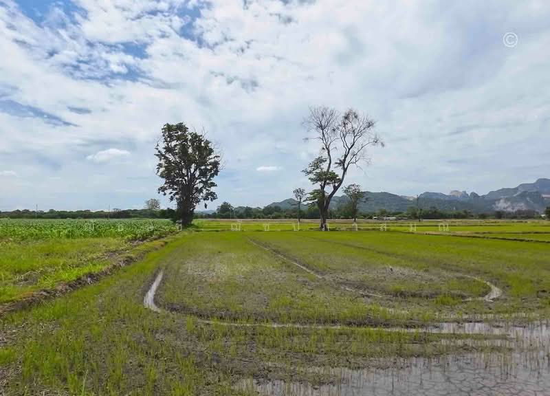 ขายที่ดินแปลงใหญ่ ใกล้วัดพระพุทธบาท 42 ไร่ 2 งาน 91.3 ตรว. อ.พระพุทธบาท จ.สระบุรี, Saraburi, พหลโยธิน, Khun Klone, Phra Phutthabat, Saraburi, , 68,364 sqm, Land For Sale, by ฌัชษชี ฌัชปภาส์มณ, 500185167 - DDproperty.com
