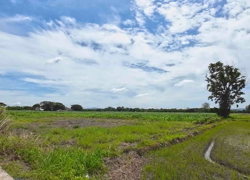 ขาย - ขายที่ดินแปลงใหญ่ ใกล้วัดพระพุทธบาท 42 ไร่ 2 งาน 91.3 ตรว. อ.พระพุทธบาท จ.สระบุรี, สระบุรี