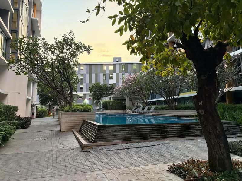 iCondo Sukhumvit 103, Bangkok, Soi Udom Suk 58, Sukhumvit Road, Bang Na, Bang Na, Bangkok, 1 Bedroom, 31 sqm, Condo For Rent, by กำพนธ์ อัศวศิริวิลาศ, 500185252 - DDproperty.com