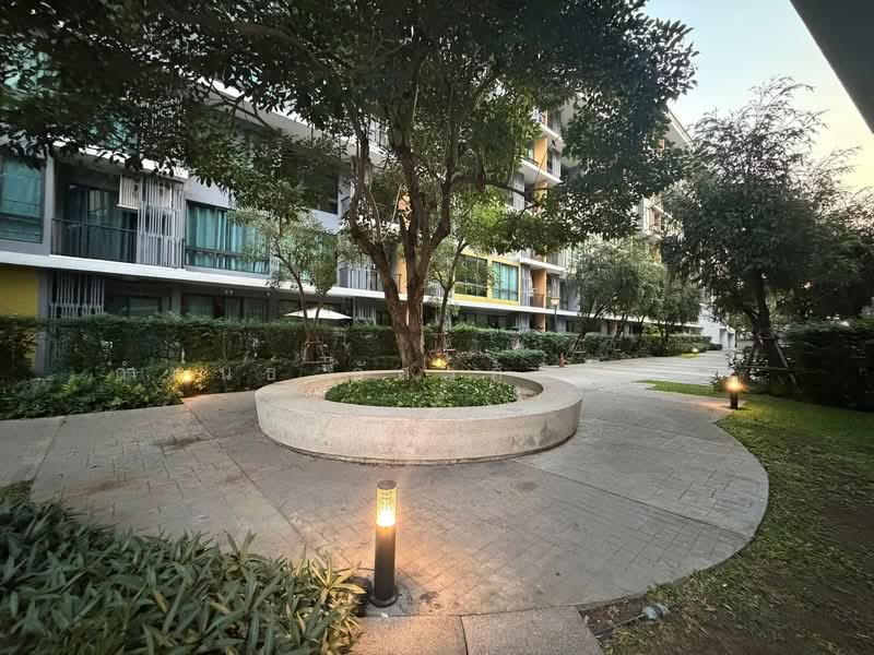 iCondo Sukhumvit 103 : ไอคอนโด สุขุมวิท 103, กรุงเทพ, ซอยอุดมสุข 58 ถนนสุขุมวิท 103, บางนา, บางนา, กรุงเทพ, 31 ตร.ม., คอนโด ให้เช่า, โดย กำพนธ์ อัศวศิริวิลาศ, 500185252 - DDproperty.com