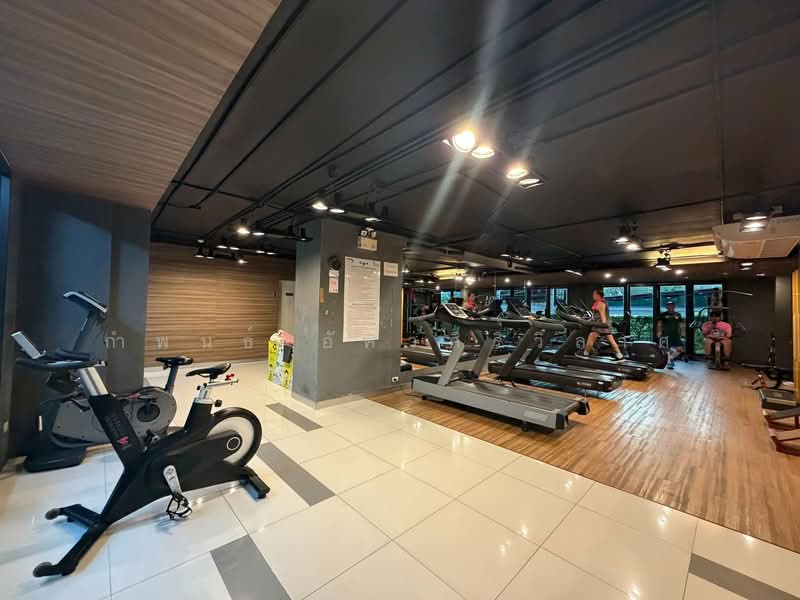 iCondo Sukhumvit 103, Bangkok, Soi Udom Suk 58, Sukhumvit Road, Bang Na, Bang Na, Bangkok, 1 Bedroom, 31 sqm, Condo For Rent, by กำพนธ์ อัศวศิริวิลาศ, 500185252 - DDproperty.com