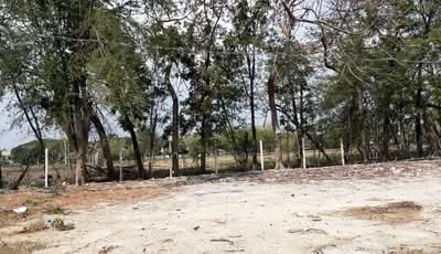 ขาย - ที่ดิน 132 ตร.ว ถม 10 ปี เฉลิมพระเกียรติ สวนหลวงร.9, กรุงเทพ