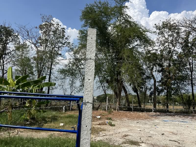 ที่ดิน 132 ตร.ว ถม 10 ปี เฉลิมพระเกียรติ สวนหลวงร.9, กรุงเทพ, หนองบอน, ประเวศ, กรุงเทพ, 528 ตร.ม., ที่ดิน ขาย, โดย ปภัชญา ธนัตถ์ภรณ์, 500185278 - DDproperty.com