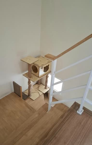 Golden Town Wongsawan-Khae Rai, Nonthaburi, Nonthaburi Road, Suan Yai, Muang Nonthaburi, Nonthaburi, 4 Bedrooms, 103 sqm, Townhouse For Sale, by วิไลวรรณ, 500185314 - DDproperty.com