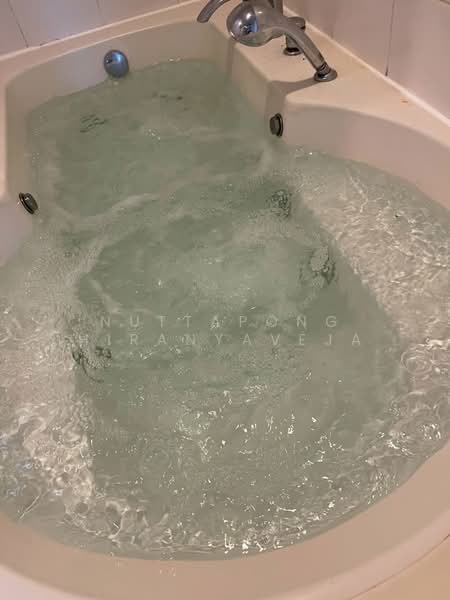 Supalai Place Sukhumvit 39 : ศุภาลัย เพลส สุขุมวิท 39, กรุงเทพ, 175-179 ซอยสุขุมวิท 39 ถนนสุขุมวิท แขวงคลองตันเหนือ เขตวัฒนา กรุงเทพมหานคร, คลองตันเหนือ, วัฒนา, กรุงเทพ, 142 ตร.ม., คอนโด ให้เช่า, โดย Nuttapong Hiranyaveja, 500185319 - DDproperty.com