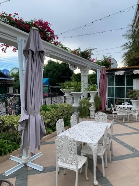 Olympus City Garden : โอลิมปัส ซิตี้ การ์เด้น, ชลบุรี, ซอยกอไผ่ 4, หนองปรือ, บางละมุง, ชลบุรี, 27 ตร.ม., คอนโด ขาย, โดย Regina Nuengjamnong, 500185327 - DDproperty.com