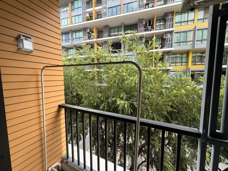 iCondo Sukhumvit 103, Bangkok, Soi Udom Suk 58, Sukhumvit Road, Bang Na, Bang Na, Bangkok, 1 Bedroom, 32 sqm, Condo For Rent, by พิมพ์ภัทรา แจ่มอุลิตรัตน, 500185338 - DDproperty.com