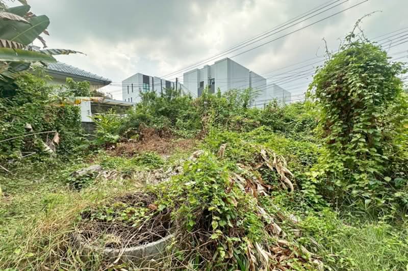ซอยสุขุมวิท 101/1, Bangkok, Bang Chak, Phra Khanong, Bangkok, , 132 sqm, Land For Sale, by คุณนา, 500185431 - DDproperty.com