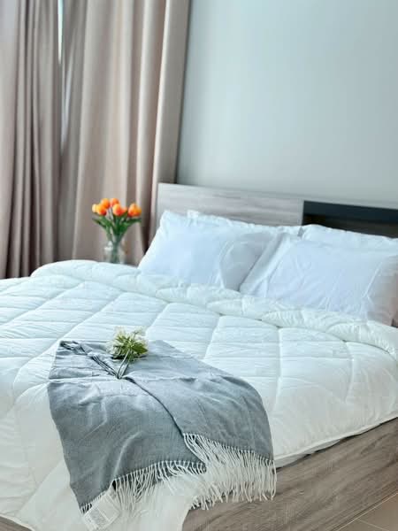 House for rent in Wichit Phuket, Phuket, เทพอนุสรณ์, Wichit, Muang Phuket, Phuket, 4 Bedrooms, 200 sqm, Single Detached House For Rent, by Prime Global Asset (Mark), 500185434 - DDproperty.com