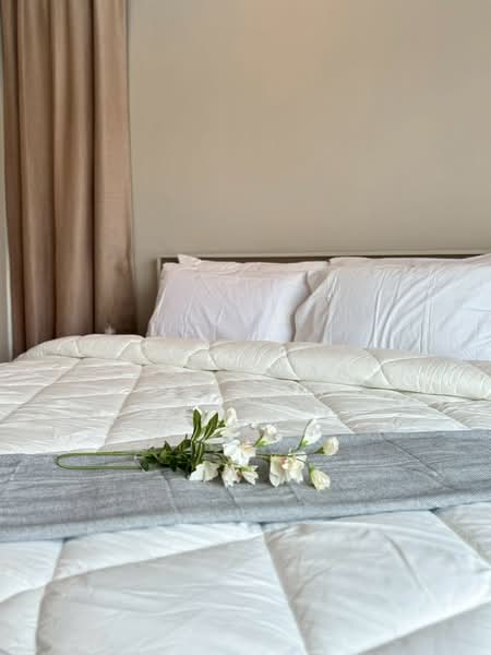 House for rent in Wichit Phuket, Phuket, เทพอนุสรณ์, Wichit, Muang Phuket, Phuket, 4 Bedrooms, 200 sqm, Single Detached House For Rent, by Prime Global Asset (Mark), 500185434 - DDproperty.com