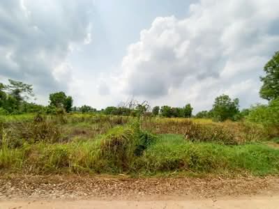 ขาย - ที่ดินเปล่า เนื้อที่ 200 ตร.ว. ถนนเลียบคลอง 10 ตำบลบึงบา อำเภอหนองเสือ จังหวัดปทุมธานี, ปทุมธานี