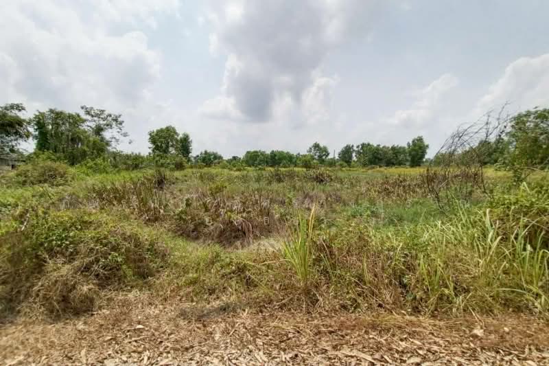 ที่ดินเปล่า เนื้อที่ 200 ตร.ว. ถนนเลียบคลอง 10 ตำบลบึงบา อำเภอหนองเสือ จังหวัดปทุมธานี, Pathum Thani, เลียบคลอง10, Bung Ba, Nong Sua, Pathum Thani, , 800 sqm, Land For Sale, by ภัทรนัน อิศรางกูร ณ อยุธยา, 500185444 - DDproperty.com