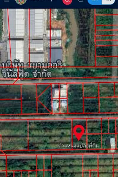 ที่ดินเปล่า เนื้อที่ 200 ตร.ว. ถนนเลียบคลอง 10 ตำบลบึงบา อำเภอหนองเสือ จังหวัดปทุมธานี, ปทุมธานี, เลียบคลอง10, บึงบา, หนองเสือ, ปทุมธานี, 800 ตร.ม., ที่ดิน ขาย, โดย ภัทรนัน อิศรางกูร ณ อยุธยา, 500185444 - DDproperty.com