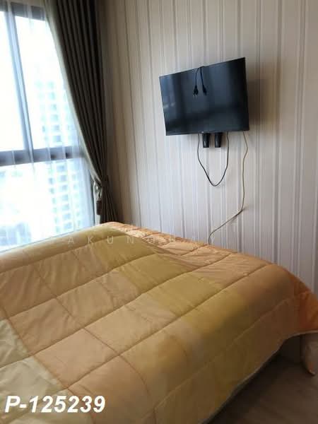 IDEO O2 Bangna, Bangkok, 195 Sanphawut Road, Bang Na Tai, Bang Na, Bangkok, 1 Bedroom, 32 sqm, Condo For Rent, by Nichaphat Sakunchayapha, 500185486 - DDproperty.com