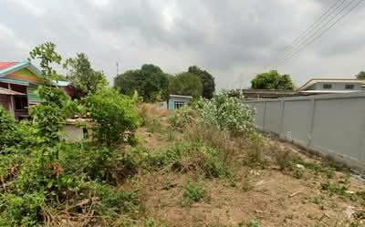 ขาย - ขายที่ดินเปล่า 244 ตร.ว. อ.พนัสนิคม จ.ชลบุรี ทำเลดี ใกล้ 7-Eleven เพียง 200 ม., ชลบุรี