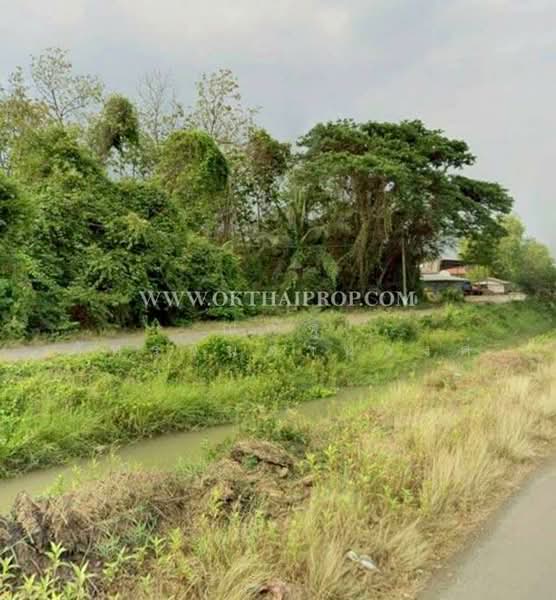 ขาย - ต.สร้อยทอง อ.ตาคลี จ.นครสวรรค์, นครสวรรค์