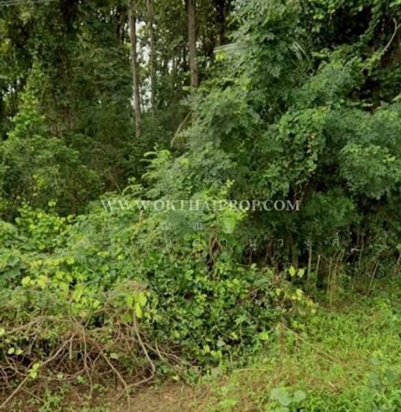 ต.สร้อยทอง อ.ตาคลี จ.นครสวรรค์, Nakhon Sawan, Soi Thong, Takhli, Nakhon Sawan, , 7,508 sqm, Land For Sale, by ณณัฐ ภัทรจินดานุวงศ์, 500185509 - DDproperty.com