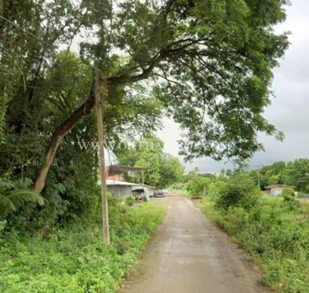 ต.สร้อยทอง อ.ตาคลี จ.นครสวรรค์, Nakhon Sawan, Soi Thong, Takhli, Nakhon Sawan, , 7,508 sqm, Land For Sale, by ณณัฐ ภัทรจินดานุวงศ์, 500185509 - DDproperty.com