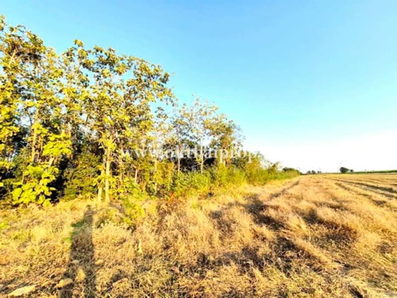 ต.ห้วยหอม อ.ตาคลี จ.นครสวรรค์, Nakhon Sawan, Huai Hom, Takhli, Nakhon Sawan, , 28,352 sqm, Land For Sale, by ณณัฐ ภัทรจินดานุวงศ์, 500185517 - DDproperty.com
