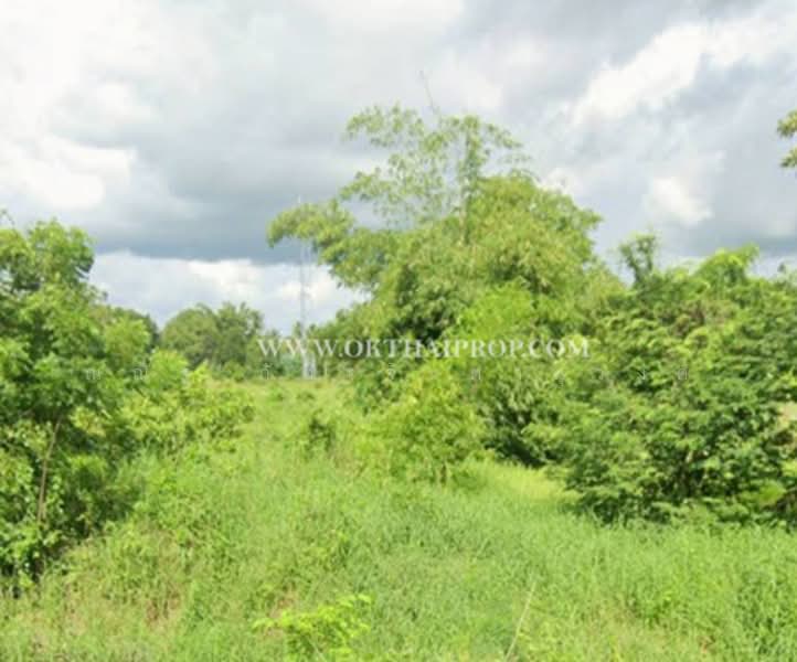 ขาย - ต.ช่องแค อ.ตาคลี จ.นครสวรรค์, นครสวรรค์