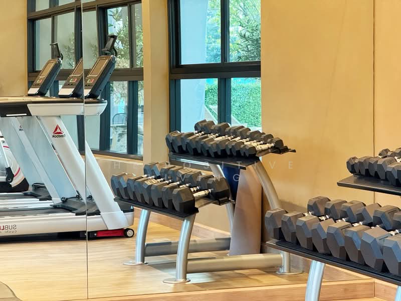 Anasiri Payap, Chiang Mai, Nong Pa Krang, Muang Chiang Mai, Chiang Mai, 4 Bedrooms, 145 sqm, Townhouse For Rent, by The Positive Living, 500185567 - DDproperty.com