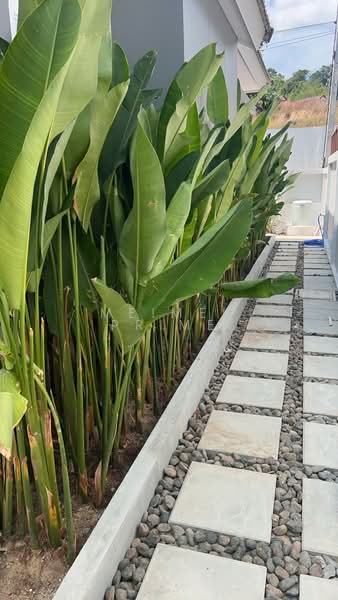 Phuket Villa Airport, ภูเก็ต, เทพกระษัตรี, ถลาง, ภูเก็ต, 164 ตร.ม., บ้านเดี่ยว ให้เช่า, โดย MeiMei Prime, 500185610 - DDproperty.com