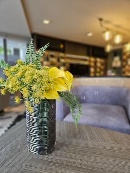 Quintara Phume Sukhumvit 39, Bangkok, 73 Soi Sukhumvit 39, Khlong Tan Nua, Watthana, Bangkok, 1 Bedroom, 39 sqm, Condo For Rent, by Ratchanon Songthammakul, 500185782 - DDproperty.com