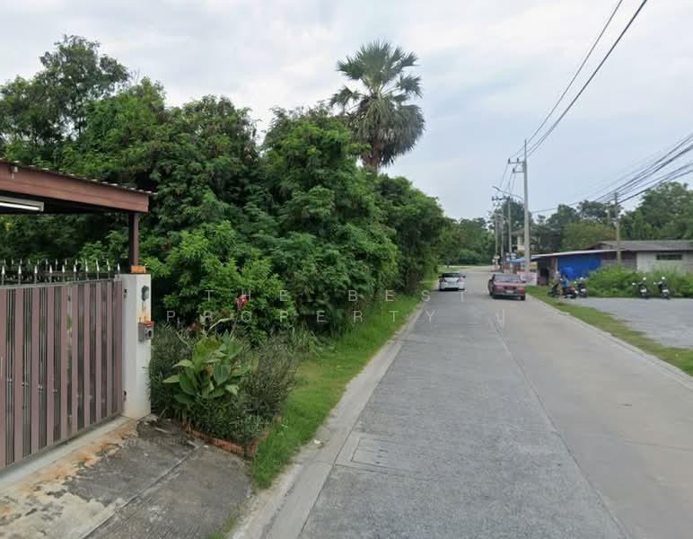 ขาย - ที่ดินเสม็ด ชลบุรี, ชลบุรี