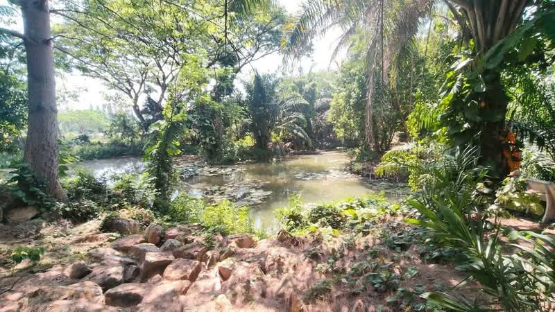 เดอะลูฟท์ วังไทร (The Luft), Nakhon Ratchasima, Wang Zai, Pak Chong, Nakhon Ratchasima, , 600 sqm, Land For Sale, by The Best Property  กิ๊บ, 500185955 - DDproperty.com