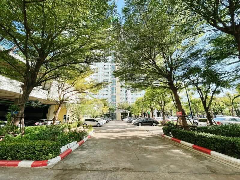 Supalai Park Kaset, Bangkok, Prasert Manutakit Road, Sena Nikhom, Chatuchak, Bangkok, 1 Bedroom, 52 sqm, Condo For Rent, by Praewpakar Soontawong, 500185956 - DDproperty.com