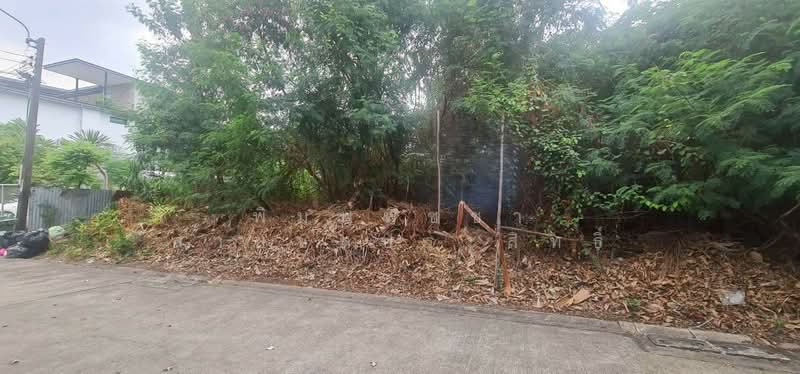 สุคนธสวัสดิ์, กรุงเทพ, คลองจั่น, บางกะปิ, กรุงเทพ, 496 ตร.ม., ที่ดิน ขาย, โดย พิมพ์พิชชา สายชลประสิทธิ์, 500186006 - DDproperty.com