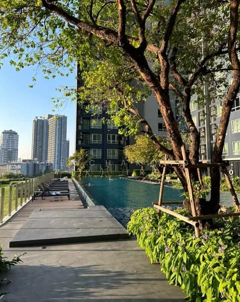 The Base Sukhumvit 77 : เดอะ เบส สุขุมวิท 77, กรุงเทพ, 289 ถนนสุขุมวิท 77, พระโขนงเหนือ, วัฒนา, กรุงเทพ, 30 ตร.ม., คอนโด ให้เช่า, โดย Bencharong (Yok) Treerat-a-na-wat, 500186082 - DDproperty.com