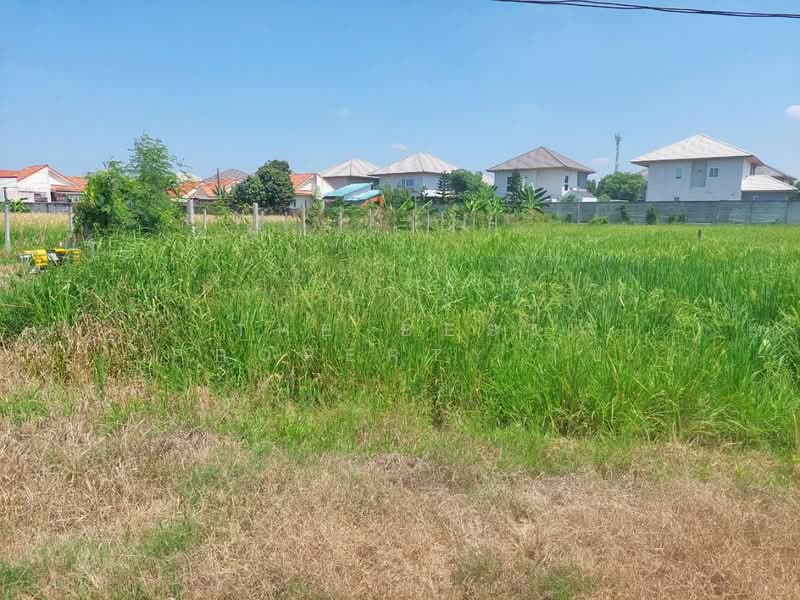 For Sale - ที่ดินหนองจอก กรุงเทพมหานคร, Bangkok