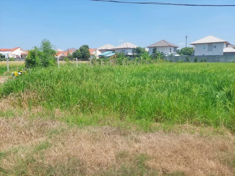 For Sale - ที่ดินหนองจอก กรุงเทพมหานคร, Bangkok