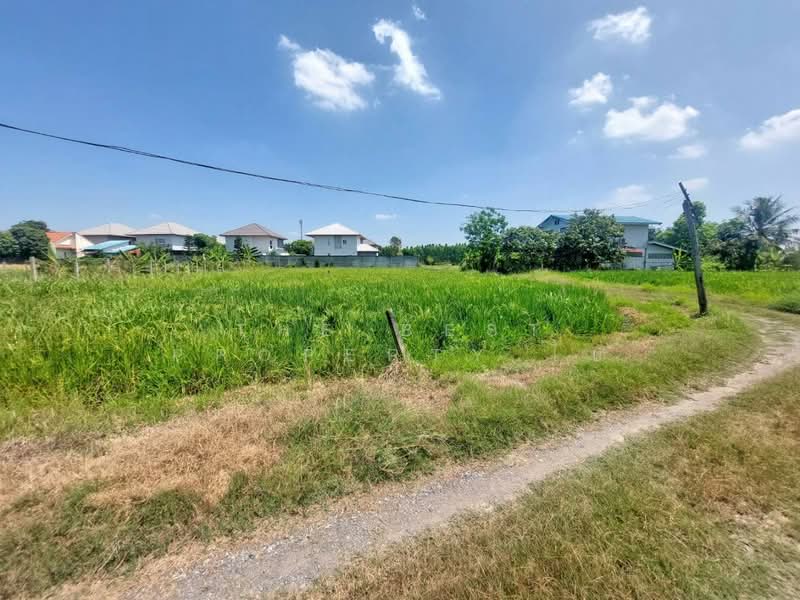 For Sale - ที่ดินหนองจอก กรุงเทพมหานคร, Bangkok