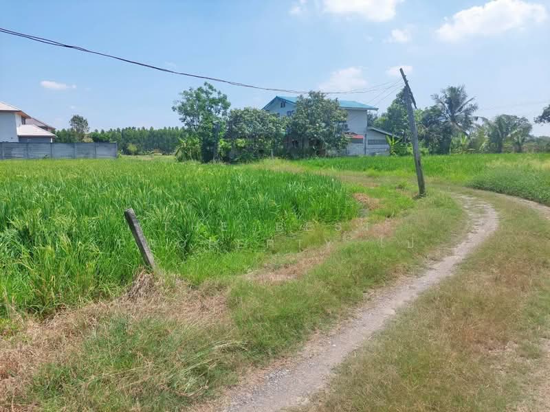 For Sale - ที่ดินหนองจอก กรุงเทพมหานคร, Bangkok