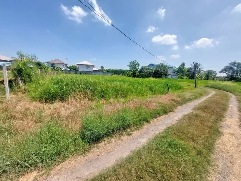 For Sale - ที่ดินหนองจอก กรุงเทพมหานคร, Bangkok