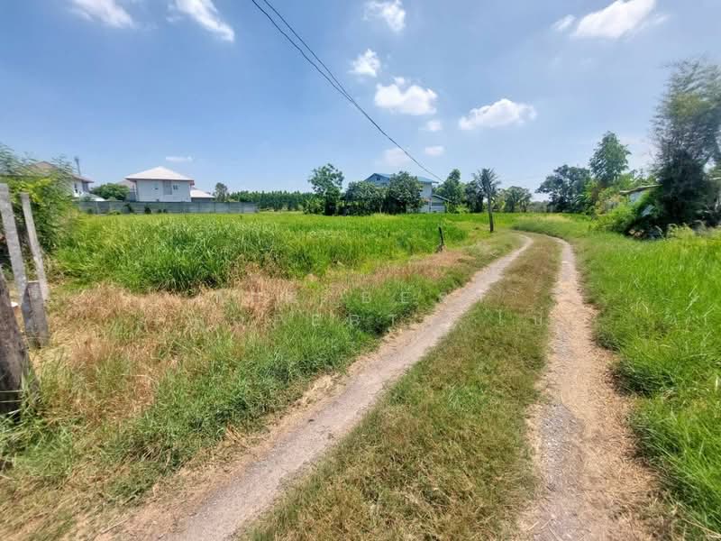 For Sale - ที่ดินหนองจอก กรุงเทพมหานคร, Bangkok