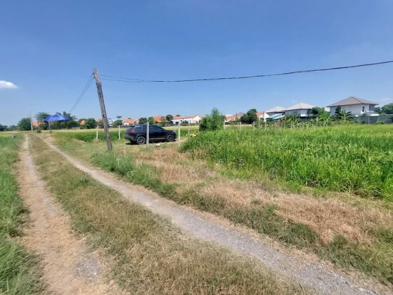 For Sale - ที่ดินหนองจอก กรุงเทพมหานคร, Bangkok