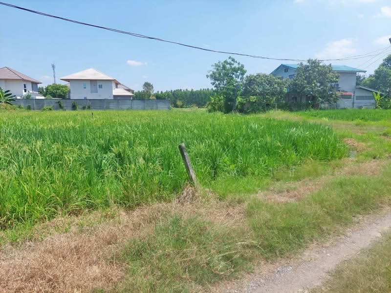 ที่ดินหนองจอก กรุงเทพมหานคร, กรุงเทพ, โคกแฝด, หนองจอก, กรุงเทพ, 200 ตร.ม., ที่ดิน ขาย, โดย The Best Property ไป่, 500186095 - DDproperty.com