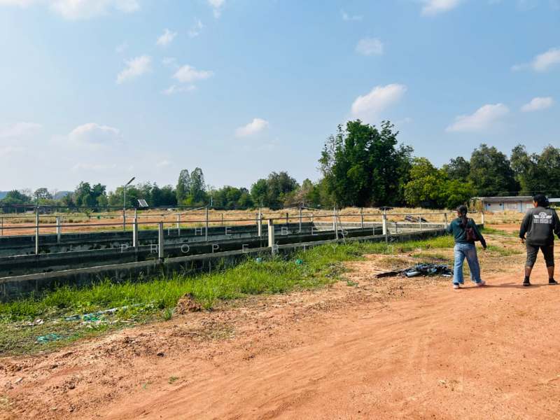 ที่ดินสว่างอารมณ์ อุทัยธานี, Uthai Thani, Bo Yang, Sawang Arom, Uthai Thani, , 56,980 sqm, Land For Sale, by The Best Property กุ้ง, 500186119 - DDproperty.com