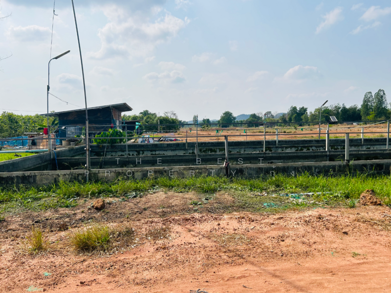 ที่ดินสว่างอารมณ์ อุทัยธานี, Uthai Thani, Bo Yang, Sawang Arom, Uthai Thani, , 56,980 sqm, Land For Sale, by The Best Property กุ้ง, 500186119 - DDproperty.com