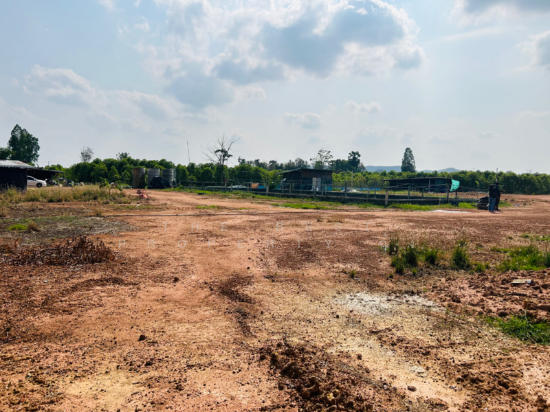 ที่ดินสว่างอารมณ์ อุทัยธานี, Uthai Thani, Bo Yang, Sawang Arom, Uthai Thani, , 56,980 sqm, Land For Sale, by The Best Property กุ้ง, 500186119 - DDproperty.com