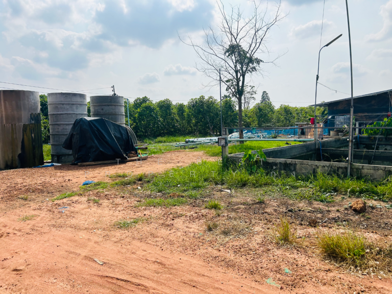 ที่ดินสว่างอารมณ์ อุทัยธานี, Uthai Thani, Bo Yang, Sawang Arom, Uthai Thani, , 56,980 sqm, Land For Sale, by The Best Property กุ้ง, 500186119 - DDproperty.com